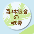 Xёg̊Tv