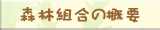 Xёg̊Tv